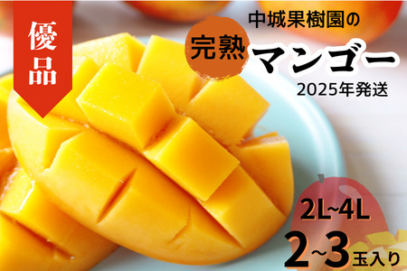 [2025年発送 先行受付]中城果樹園の完熟マンゴー≪優品≫ 1kg以上 アーウィン種 沖縄 特産品 完熟マンゴー フルーツ 果物 デザート スイーツ ジュース スムージー アイス シャーベット ソルベ 贈答 贈り物 プレゼント お土産 お見舞い お中元 ギフト 数量限定