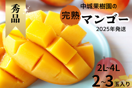 [2025年発送 先行受付]中城果樹園の完熟マンゴー≪秀品≫ 1kg以上 アーウィン種 沖縄 特産品 完熟マンゴー フルーツ 果物 デザート スイーツ ジュース スムージー アイス シャーベット ソルベ 贈答 贈り物 プレゼント お土産 お見舞い お中元 ギフト 数量限定