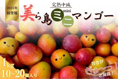 完熟沖縄ミニマンゴーご家庭用約1kg(10〜20個入)2025年発送 沖縄 特産品 フルーツ 果物 デザート スイーツ おすすめ オススメ 贈り物 プレゼント お土産 お見舞い 期間限定 数量限定