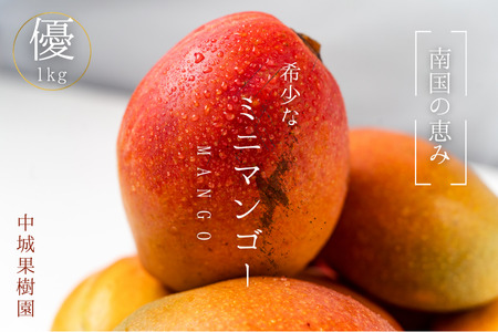 【2025年発送】中城果樹園ミニマンゴー優品　約1kg（10～20個入）　沖縄 特産品 フルーツ 果物 デザート スイーツ おすすめ オススメ 贈り物 プレゼント お土産 お見舞い 期間限定 数量限定 希少 レア