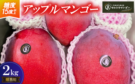 y2026N6{珇z}gE}S[̑pAbv}S[2kgyzsnFzy1670268z