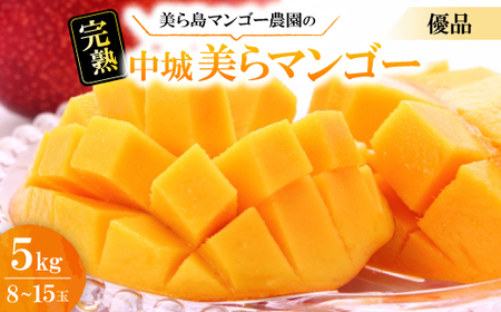 y2026N6珇Ez瓇}S[_̊n}S[Di5kg(8`15)yzsnFzy1672803z