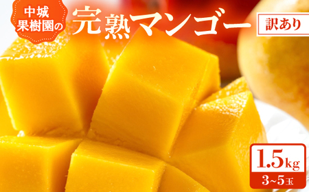 y2026N7珇Ezʎ̊nAbv}S[ 󂠂1.5kg(3`5)yzsnFzy1673136z