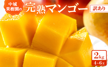 y2026N7珇Ezʎ̊nAbv}S[ 󂠂2.0kg(4`6)yzsnFzy1673145z