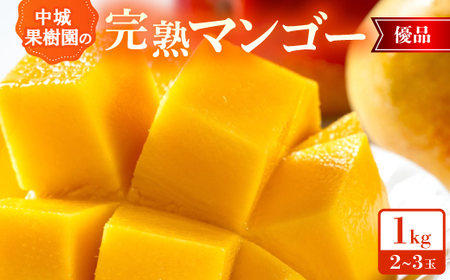 y2026N7珇Eϔzʎ̊n}S[ Di1.0kg(2`3)yzsnFzy1673160z