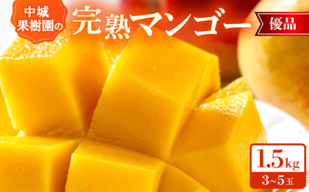 y2026N7珇Eϔzʎ̊n}S[ Di1.5kg(3`5)yzsnFzy1673170z