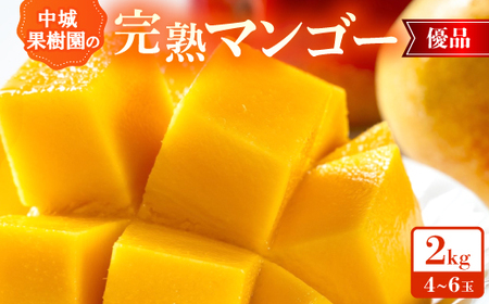 y2026N7珇Eϔzʎ̊n}S[ Di2.0kg(4`6)yzsnFzy1673176z