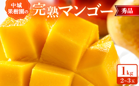 y2026N7珇Eϔzʎ̊n}S[ Gi1.0kg(2`3)yzsnFzy1673411z