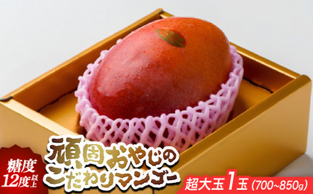 y2026NEx12xȏۏ؁zł₶̂}S[1(700g`850g)yzsnFzy1675680z