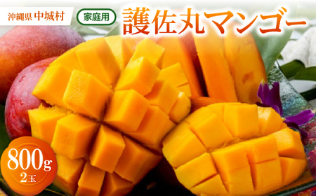 y2026N6{珇Eƒpz썲ۃ}S[800g(2)yzsnFzy1676033z