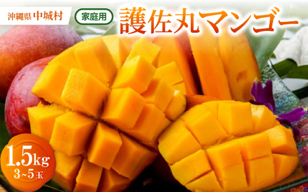 y2026N6{珇Eƒpz썲ۃ}S[1.5kg(3`5)yzsnFzy1676051z