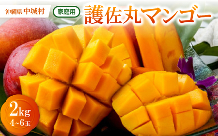 y2026N6{珇Eƒpz썲ۃ}S[2.0kg(4`6)yzsnFzy1676052z