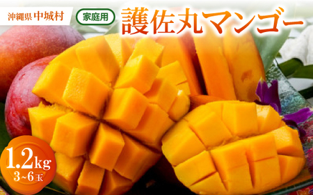 y2026N6{珇E󂠂z썲ۃ}S[1.2kg(3`6)yzsnFzy1676053z