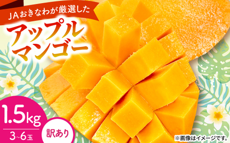 y2026N6珇E󂠂zAbv}S[1.5kg(3`6)yzsnFzy1681760z