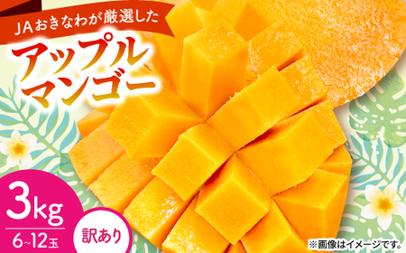 y2026N6珇E󂠂zAbv}S[3.0kg(6`12)yzsnFzy1681762z