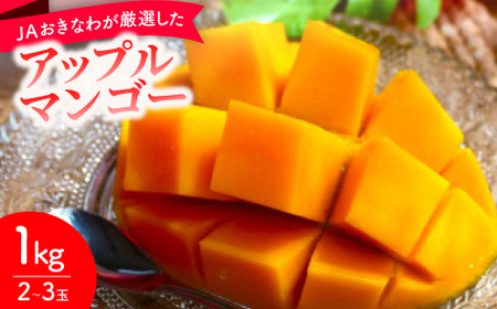 y2026N6珇EϔzJAȂ킪IAbv}S[1kg(2`3)yzsnFzy1681767z