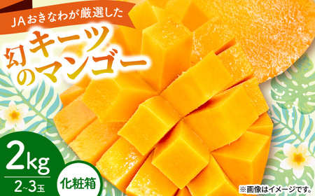 y2026N8珇EϔzJAȂ팵ĨL[c}S[2kg(2`3)yzsnFzy1681785z