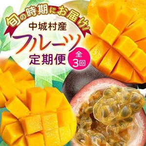 yŒցz2026N JAȂ킪I썑t[c֑S3yzsnFzy4077025z