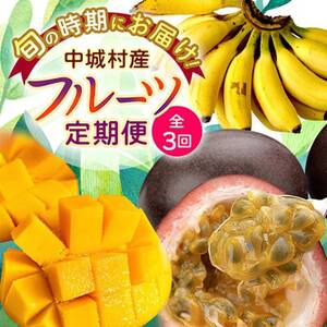 �y�������Œ����ցzJA�����Ȃ팵�I�t���[�c�Z�b�g(�p�b�V�����t���[�c�E�}���S�[�E���o�i�i)�S3��y�z���s�n��F�����z�y4079615�z