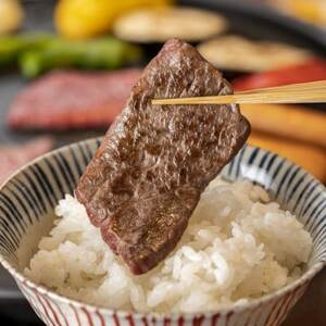 牛肉バラエティーセット 1kg(カルビ・ハラミ・タン・マルチョウ 各種250g)[配送不可地域:離島]