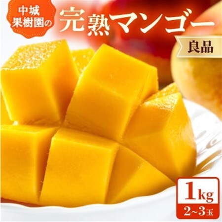 [2026年7月から順次発送・白箱]中城果樹園の完熟アップルマンゴー 良品1.0kg(2〜3玉)[配送不可地域:離島]