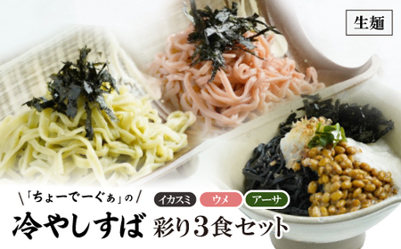 彩り生麺冷やしすば3食セット[配送不可地域:離島]