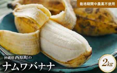 西原町の栽培期間中農薬不使用のナムワバナナ2kg