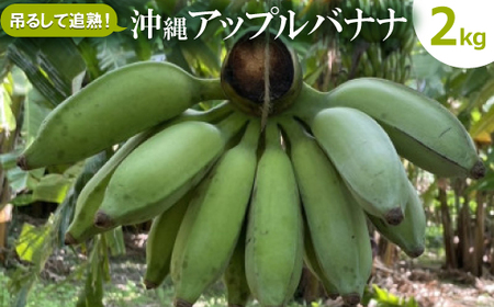 ݂邵ĒǏn!鉫Abvoii2kgy1640917z