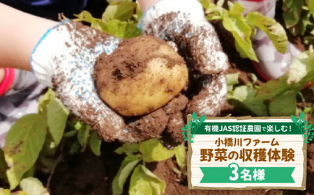 L@JASFؔ_Ŋy!t@[؂̎ň3ly1666317z