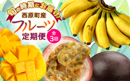 [発送月固定定期便]JAおきなわ厳選フルーツセット(パッションフルーツ・マンゴー・島バナナ)全3回[配送不可地域:離島]