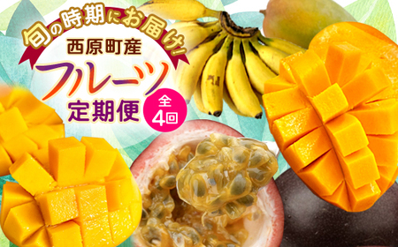 [発送月固定定期便]JAおきなわ厳選!季節の南国フルーツ 西原町の旬の味覚をお届け全4回[配送不可地域:離島]