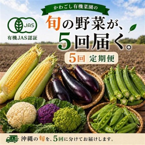 [発送月固定定期便]旬の沖縄野菜(とうもろこし・ナス・オクラ・カリフローレ・スナップエンドウ)全5回[配送不可地域:離島]