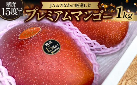 y2026N6珇zx15xȏ!JAȂ킪Iv~A}S[1kgyzsnFzy1671125z