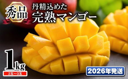 [2026年発送]「秀品」丹精込めた完熟マンゴー1kg 2玉〜3玉