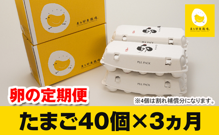 定期便 卵 40個の返礼品 検索結果 | ふるさと納税サイト「ふるなび」