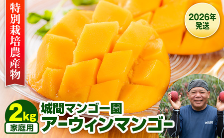 y2026Nzԃ}S[@ƒp@A[EB}S[2kg@ʍ͔|_Y