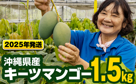 [2025年発送]沖縄県産キーツマンゴー1.5kg