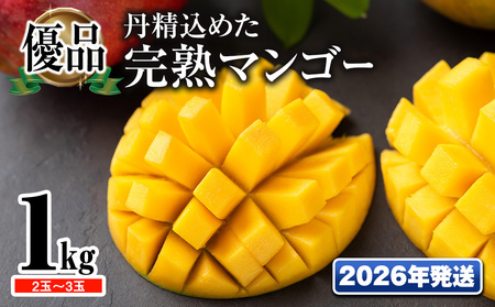 y2026NzuDivO߂n}S[1kg@2ʁ`3