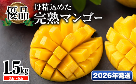 y2026NzuDivO߂n}S[1.5kg@3ʁ`5