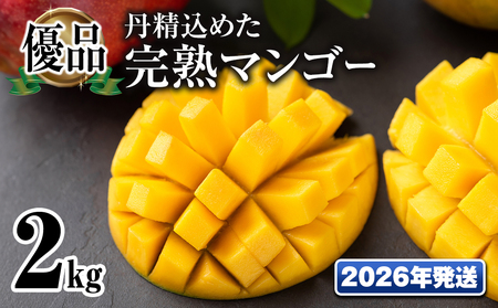 y2026NzuDivO߂n}S[2kg@4ʁ`6