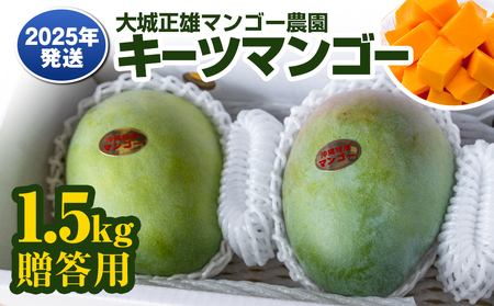 【2025年発送】大城正雄マンゴー農園　キーツマンゴー　贈答用1.5kg