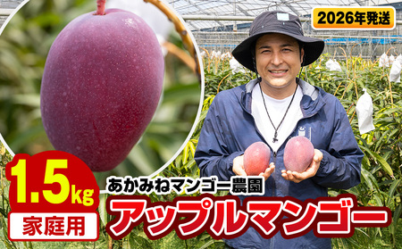 y2026Nz݂˃}S[_@ƒpAbv}S[1.5kg