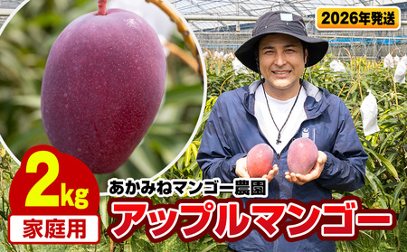 y2026Nz݂˃}S[_@ƒpAbv}S[2kg