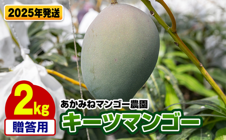 [2025年発送]あかみねマンゴー農園 贈答用キーツマンゴー2kg