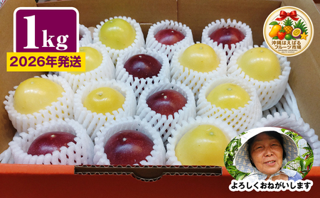 [2026年発送]沖縄からの贈り物 美らパッションの宝石箱1kg