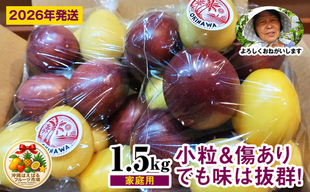 [2026年発送]パッションベビー食べ比べセット 家庭用1.5kg