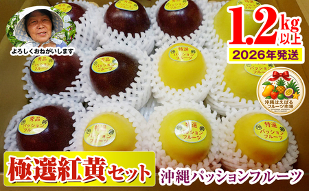 [2026年発送]沖縄パッションフルーツ 極選紅黄セット1.2kg以上