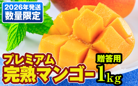 y2026NzʌIv~An}S[1kg@p