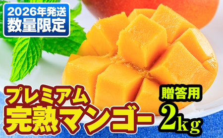 y2026NzʌIv~An}S[2kg@p