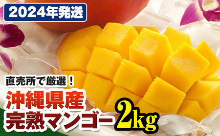 沖縄県産 アップルマンゴーの人気商品・通販・価格比較 - 価格.com